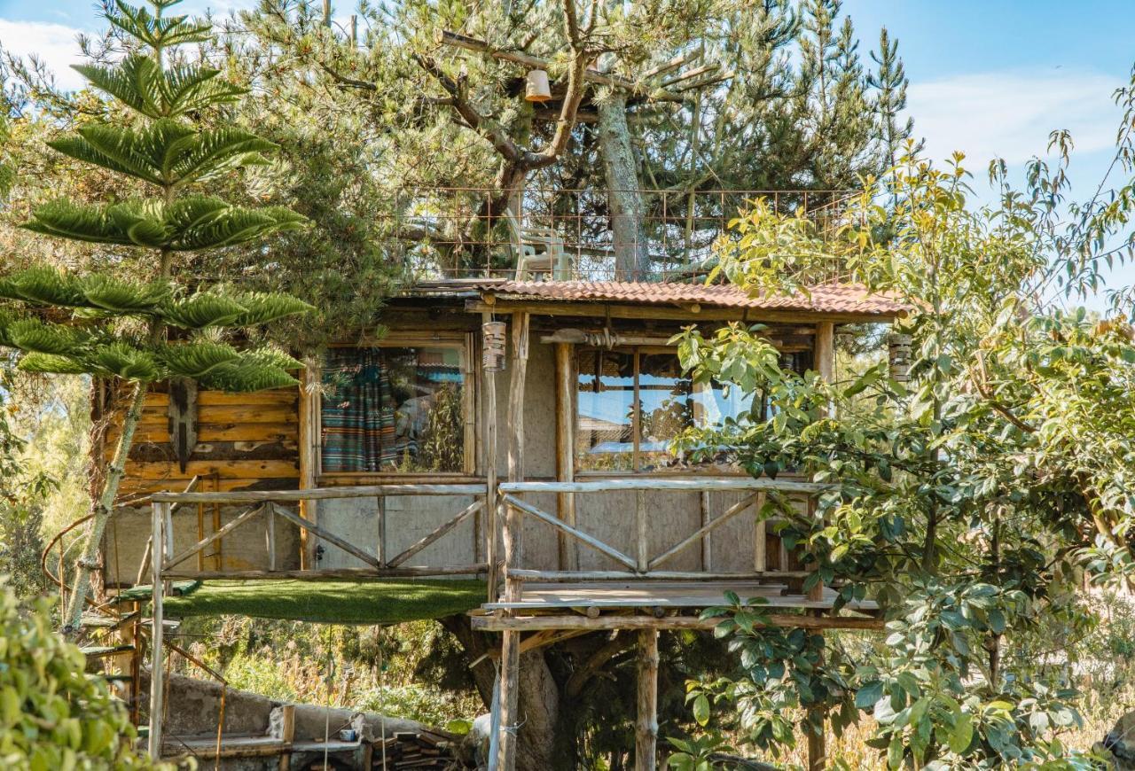 Campo Lago Hospedaje San Pablo Del Lago 외부 사진